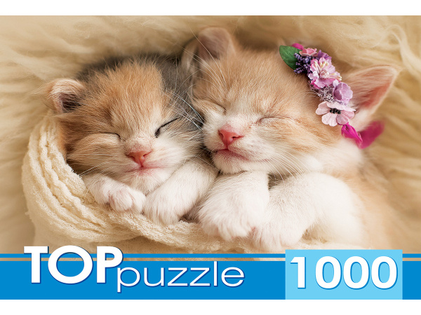 TOPpuzzle. ПАЗЛЫ 1000 элементов. 'Два спящих котенка', ГИТП1000-2142